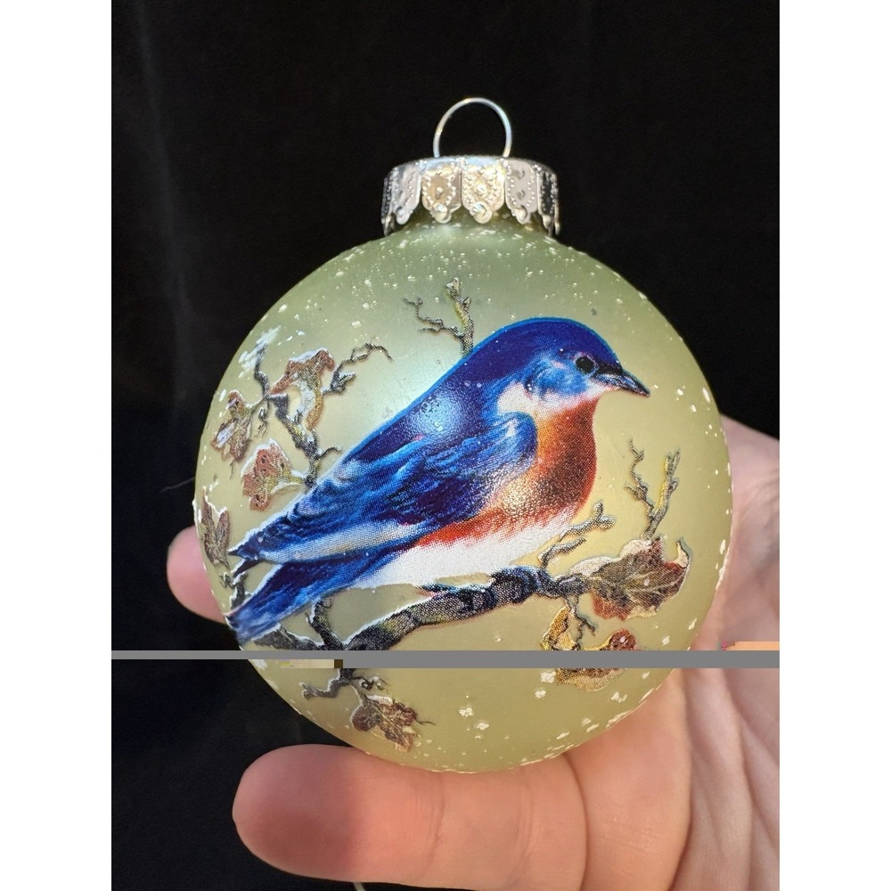 Blue Jay Bird SHINY/SATIN MICA Glass Christmas Ornament Winter Hand Painted G&B